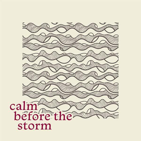 Calm Before the Storm - Single album cover
